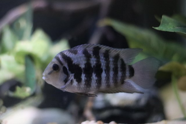 IMG_2938.jpeg IMG_2938.jpeg