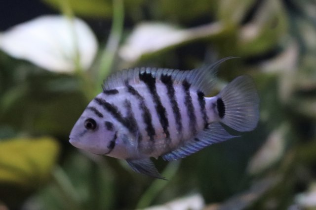 IMG_2936.jpeg IMG_2936.jpeg