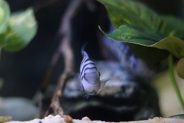 IMG_2930.jpeg IMG_2930.jpeg