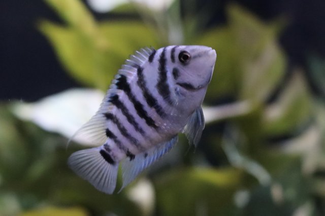 IMG_2935.jpeg IMG_2935.jpeg