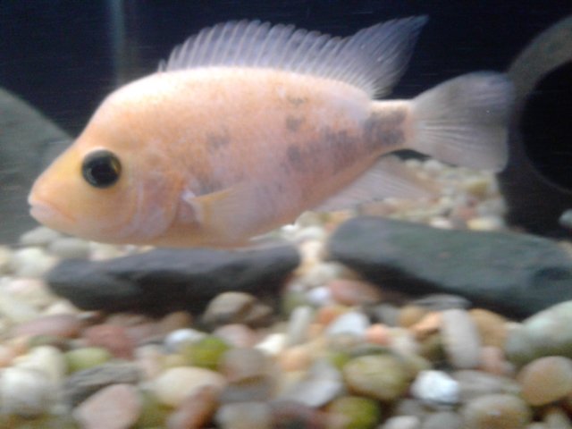 20190303_191114.jpg 20190303_191114.jpg