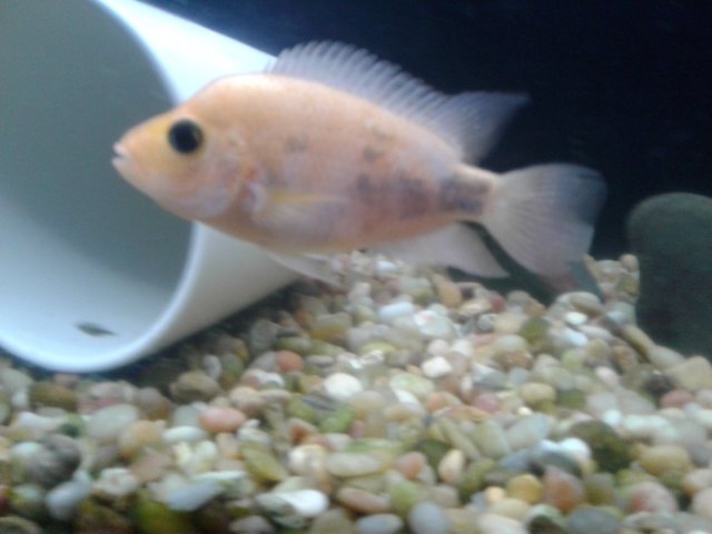 20190303_191120.jpg 20190303_191120.jpg