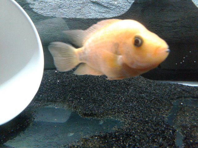 20190309_120955.jpg 20190309_120955.jpg