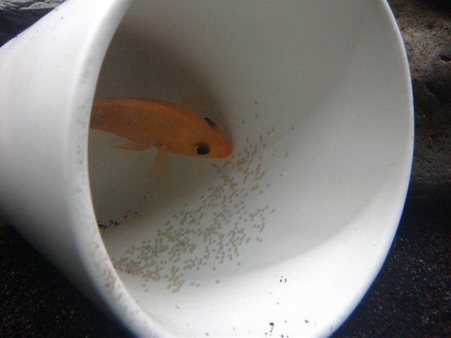 20190209_164128.jpg 20190209_164128.jpg