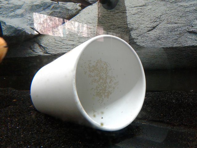 20190310_110352.jpg 20190310_110352.jpg