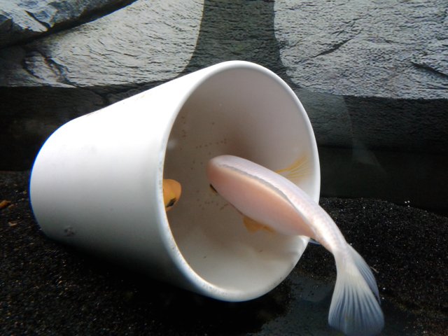 20190309_200754.jpg 20190309_200754.jpg