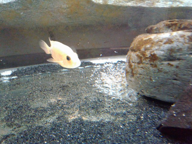 20190317_154050.jpg 20190317_154050.jpg