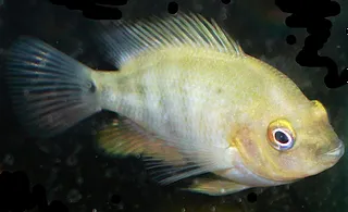 1699452443805.png 1699452443805.png