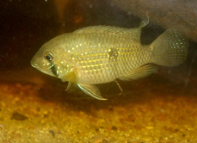 IMG_1911.jpeg IMG_1911.jpeg