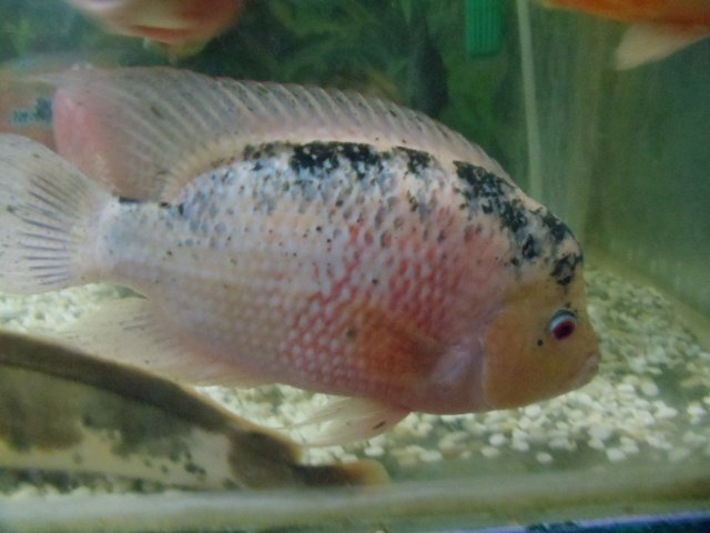 DSC02299.JPG DSC02299.JPG