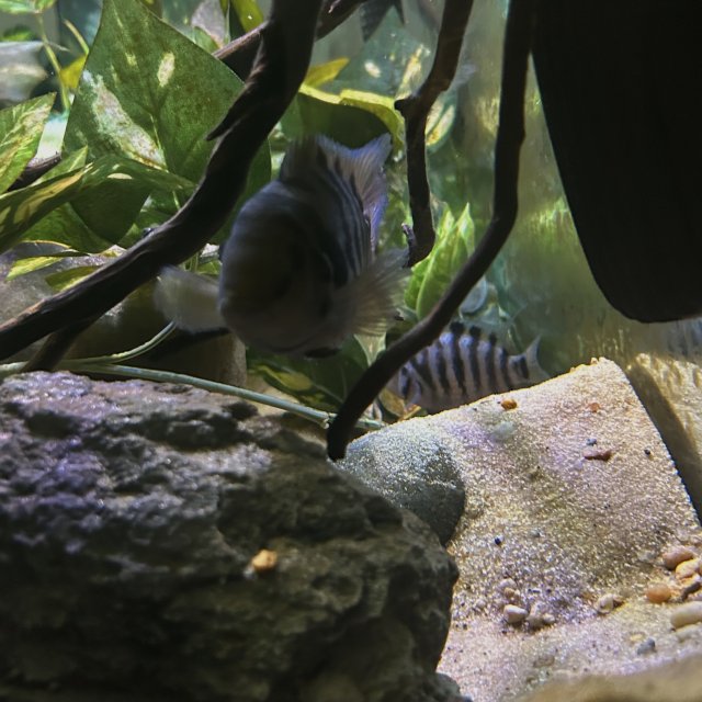 IMG_1802.jpeg IMG_1802.jpeg