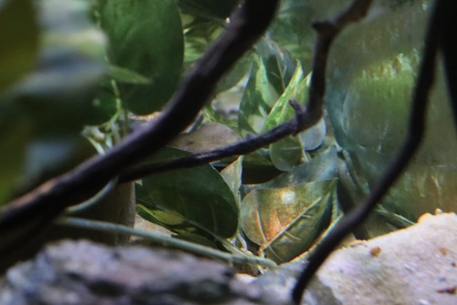 IMG_2965.jpeg IMG_2965.jpeg