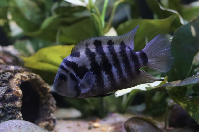 IMG_2954.jpeg IMG_2954.jpeg