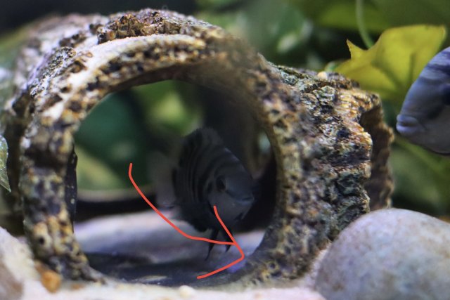 IMG_2955.jpeg IMG_2955.jpeg