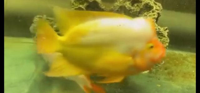 Screenshot_20231112_213955_Gallery.jpg Screenshot_20231112_213955_Gallery.jpg