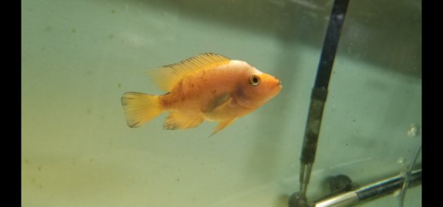 Screenshot_20231112_214024_Gallery.jpg Screenshot_20231112_214024_Gallery.jpg