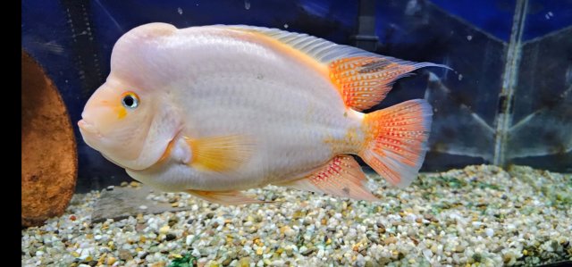 Screenshot_20231112_214249_Gallery.jpg Screenshot_20231112_214249_Gallery.jpg