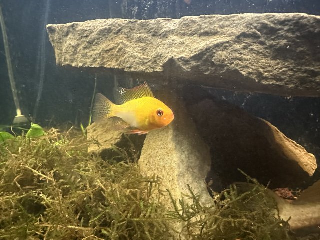 IMG_4565.jpeg IMG_4565.jpeg