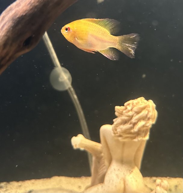 IMG_4568.jpeg IMG_4568.jpeg