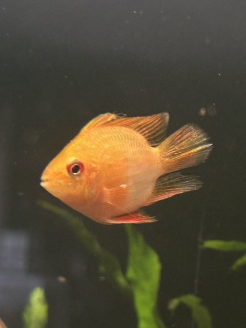 IMG_4572.jpeg IMG_4572.jpeg