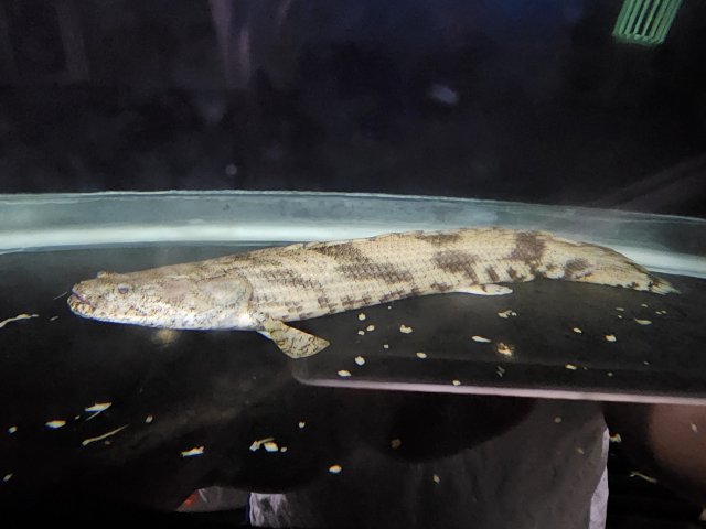 20231106_185240.jpg