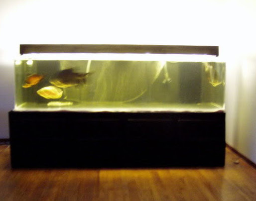 1699934750898.png 1699934750898.png