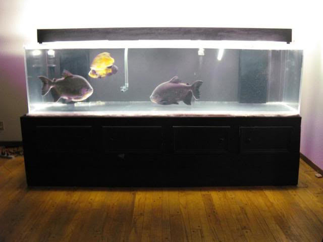 1699934790201.png 1699934790201.png