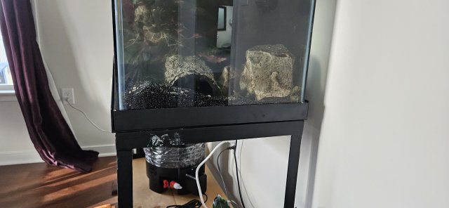 20231115_151904.jpg 20231115_151904.jpg