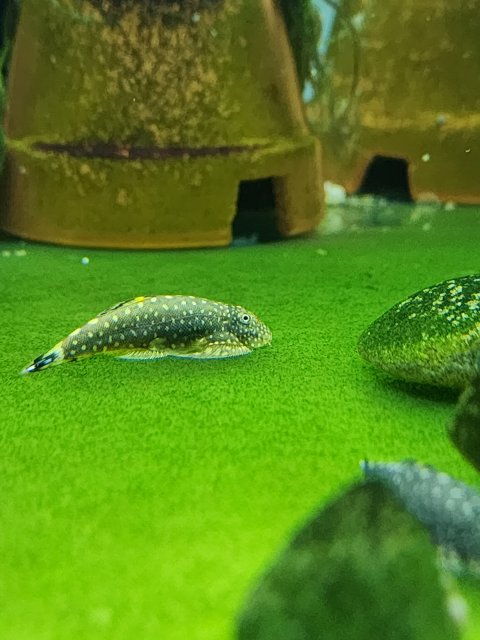 20230523_204342.jpg 20230523_204342.jpg