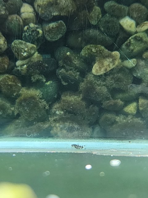 20231010_203954.jpg 20231010_203954.jpg