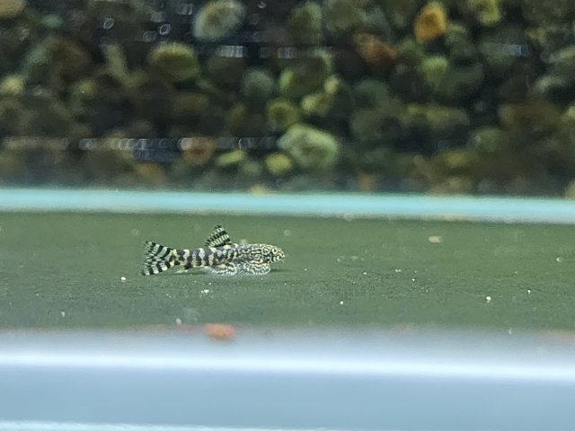20231019_215920.jpg 20231019_215920.jpg