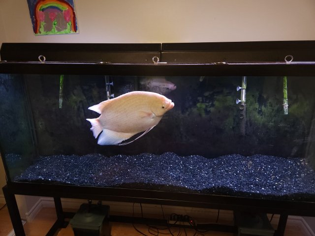 398824882_10160072615428401_576033177344971894_n.jpg 398824882_10160072615428401_576033177344971894_n.jpg