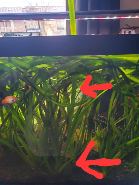 20231116_111115.jpg