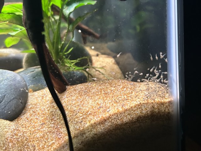 IMG_1932.jpeg IMG_1932.jpeg