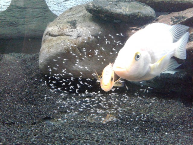 20190215_121009.jpg 20190215_121009.jpg