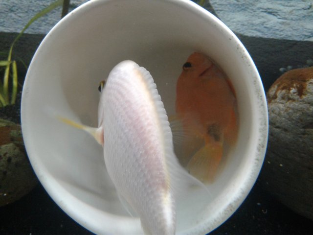 20190208_142659.jpg 20190208_142659.jpg