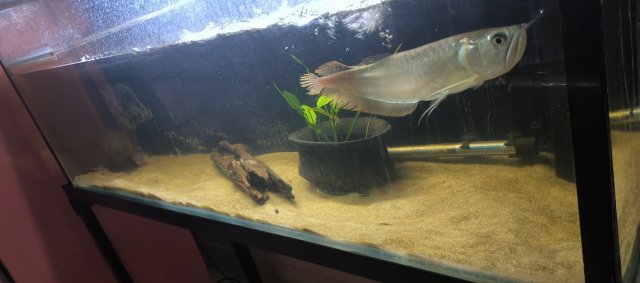 IMG_20231119_120806.jpg IMG_20231119_120806.jpg