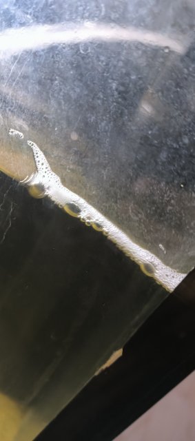 IMG_20231119_120757.jpg IMG_20231119_120757.jpg