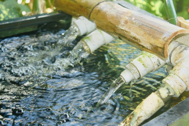 IMG_0773.jpeg IMG_0773.jpeg