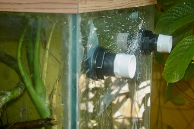 IMG_4987.jpeg IMG_4987.jpeg