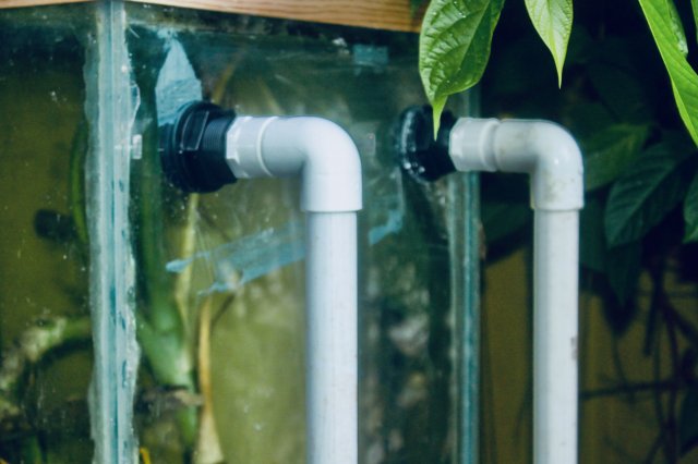 IMG_5011.jpeg IMG_5011.jpeg