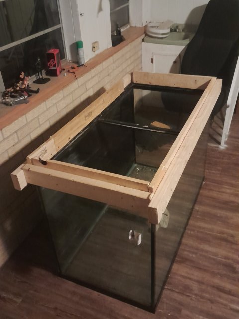 20231120_195306.jpg 20231120_195306.jpg