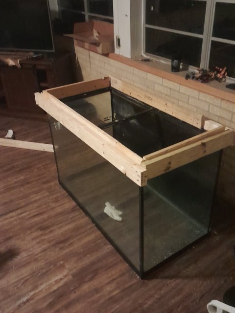 20231120_195252.jpg 20231120_195252.jpg