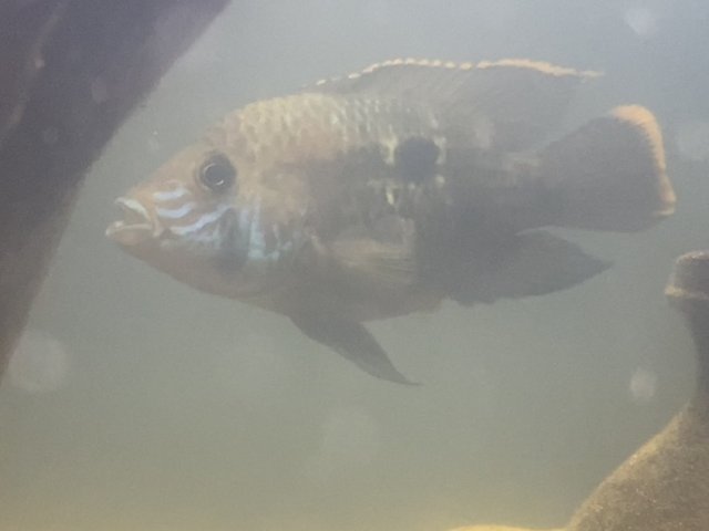 IMG_5998.jpeg