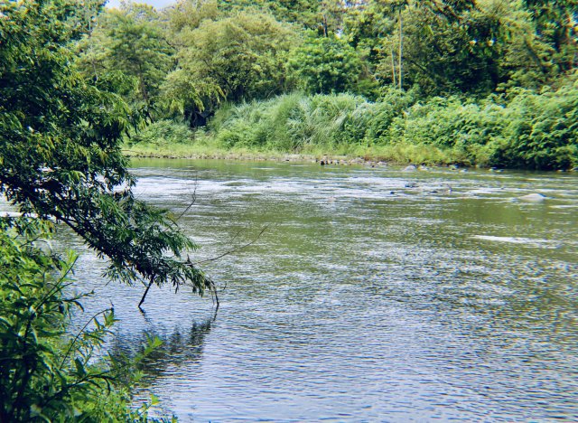 IMG_2212.jpeg IMG_2212.jpeg