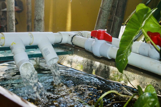 IMG_5317.jpeg IMG_5317.jpeg