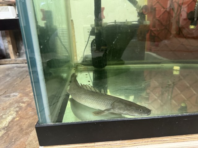 image_6487322.JPG image_6487322.JPG