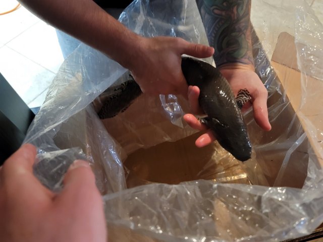 image_6487327.JPG image_6487327.JPG