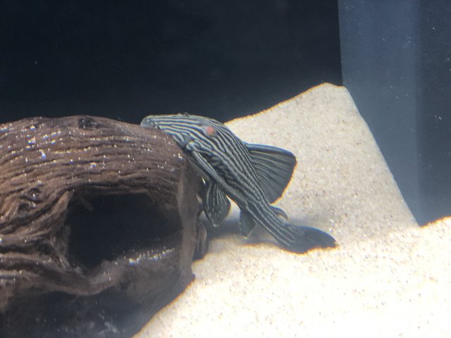 image_50401537.JPG image_50401537.JPG