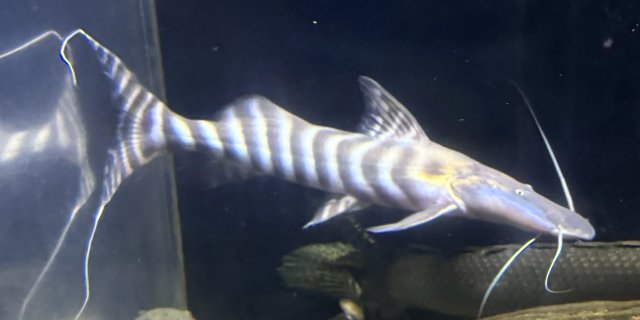 IMG_3025.jpeg IMG_3025.jpeg